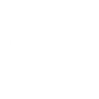 quality  icon